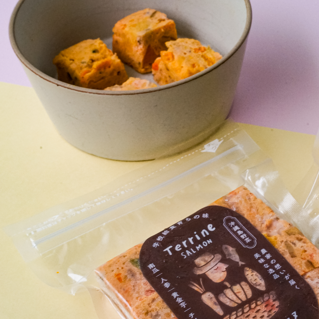 【3個セット】チリ産サーモンと沖縄野菜を使った無添加犬用サーモンテリーヌ